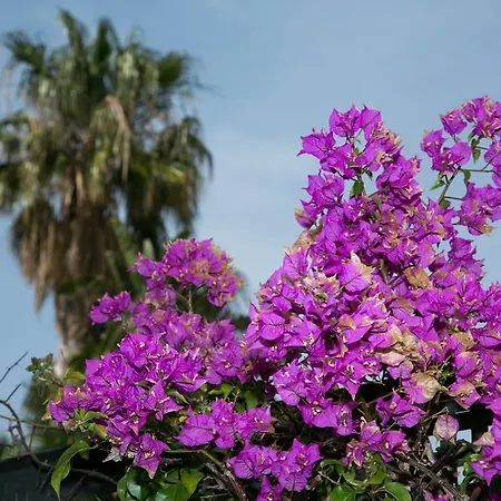 Altos De Marbella