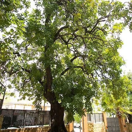 Altos De